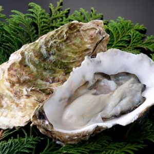 才ノ助特選広島ブランド